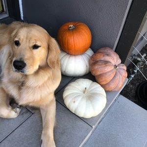 Meet your Posher, Alanna